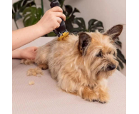 Wahl Maszynka dla zwierząt WAHL Colour Pro Cordless Pet - 1490058 - zdjęcie 4